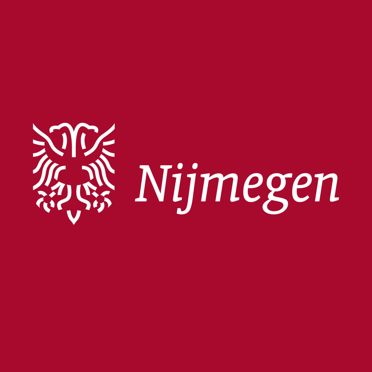 Logo van de gemeente Nijmegen in samenwerking met VoetbalFissa